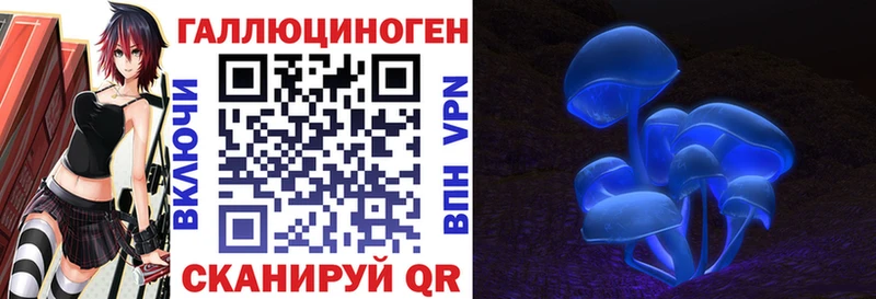 Псилоцибиновые грибы ЛСД  хочу наркоту  hydra сайт  Тольятти 
