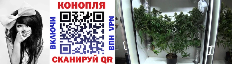 Каннабис индика  что такое   Тольятти 